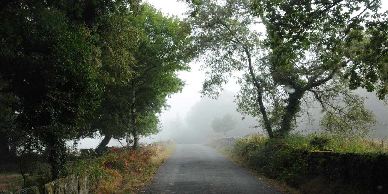 El camino que nos une