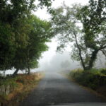 El camino que nos une