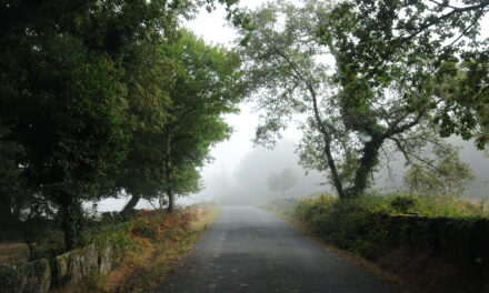 El camino que nos une